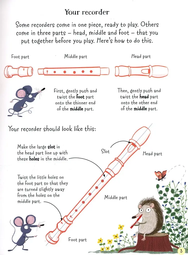 Recorder for Beginners - фото 5