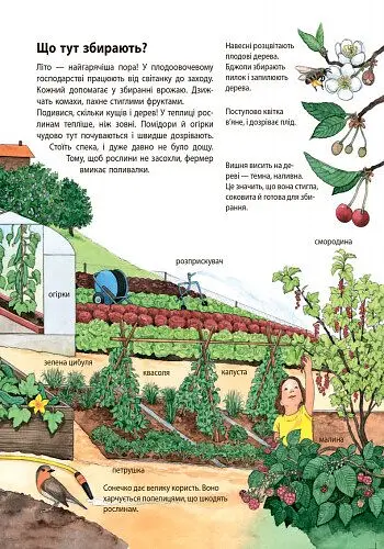 Моя перша мальована енциклопедія Ранок Ферма - Даніела Пруссе (Ч783004У) - фото 10