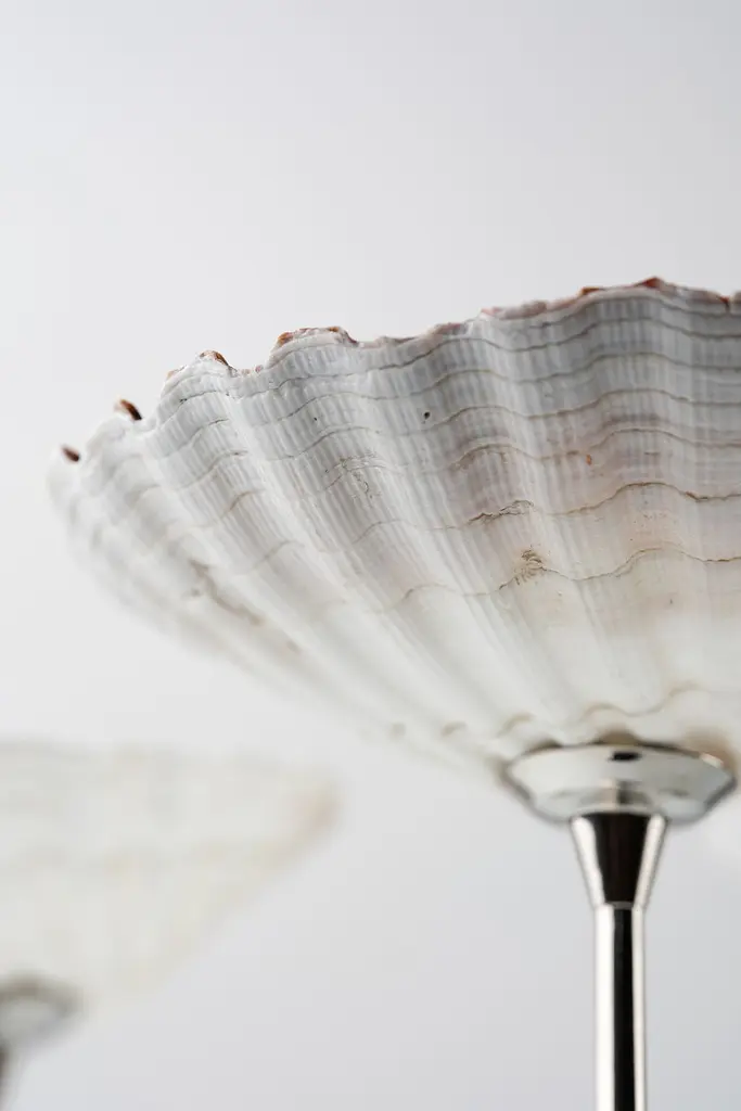 Келих Shell Glass 90 мл - фото 3