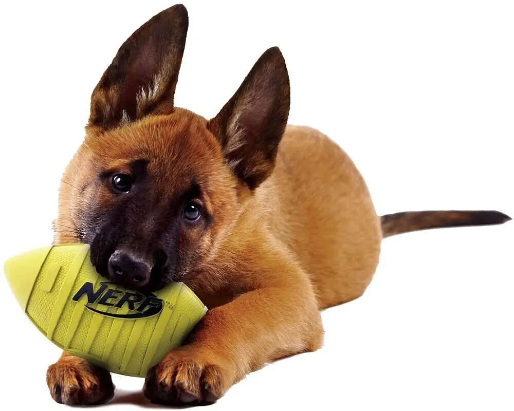 Футбольний м'яч для собак Nerf Dog Squeak - фото 5