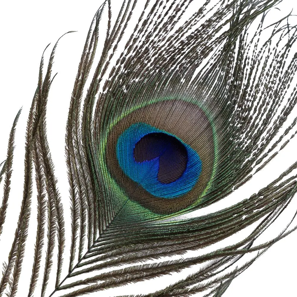 Лоскітка LOCKINK SEVANDA Natural Peacock Flirting Feather Tickler, пір’я павича та страуса - фото 6