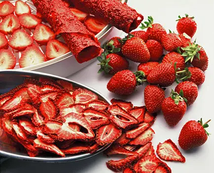 Сушарка Ezidri Snackmaker FD500 Digital - фото 6