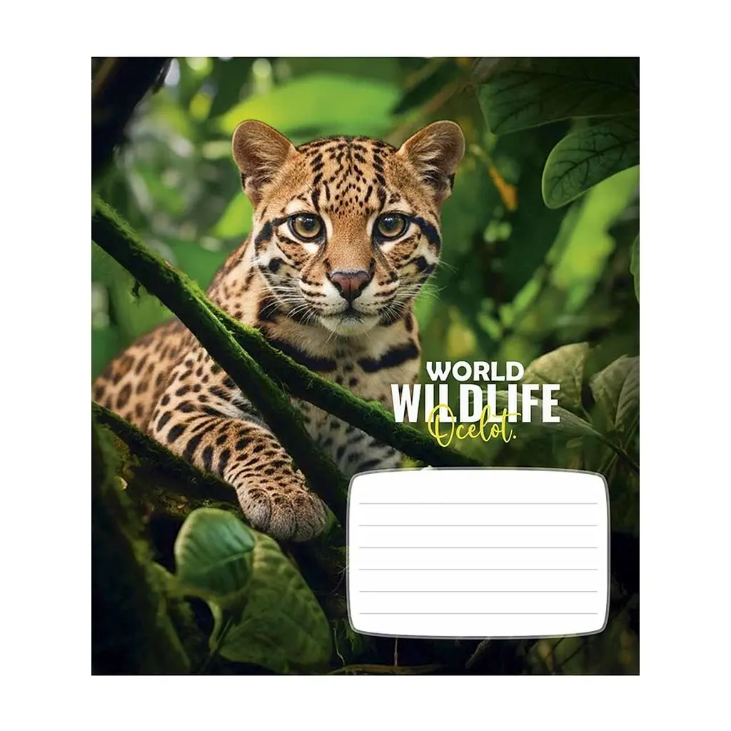 Зошит Школярик Wildlife 12 аркушів клітинка (012-3679K), в асортименті - фото 2