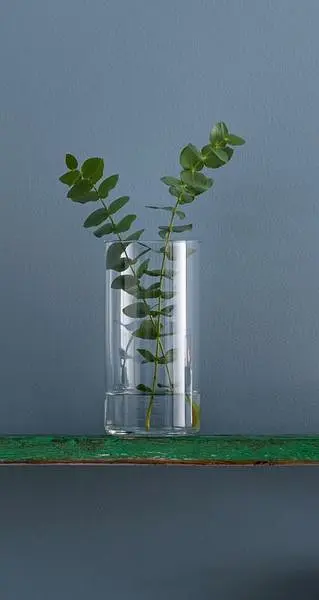 Ваза ECOmo Cylinder 29 x 15.8 см - фото 2
