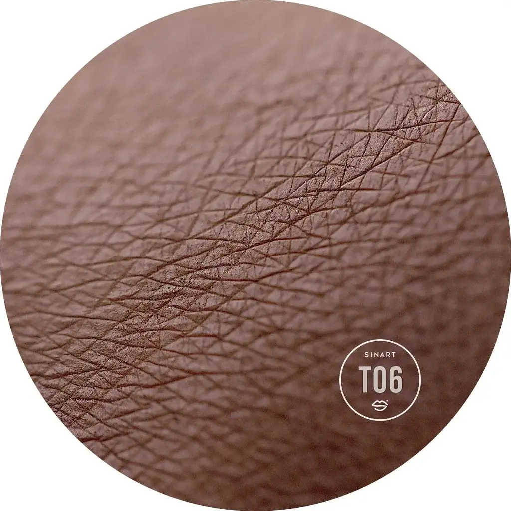 Прессованные тени для век Sinart Extra Dimension Velor Eyeshadow T06 1.5 г - фото 2