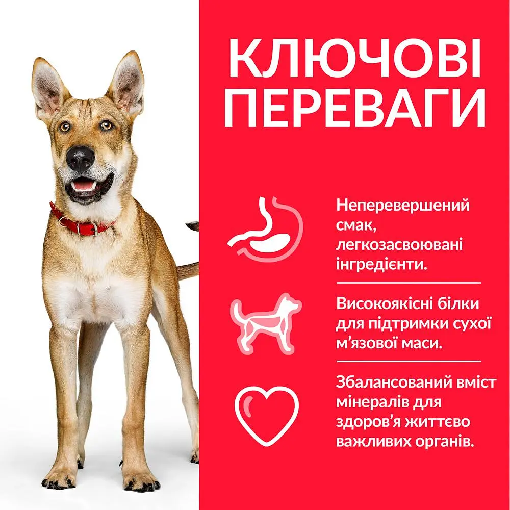 Сухий корм Hill's SP Can Adult Performance 14 кг для активних, мисливських або робочих собак зі - фото 3