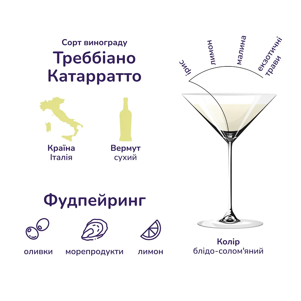 Упаковка вермуту Martini Extra Dry 18% 6 л (0.5 л х 12 шт.) - фото 3