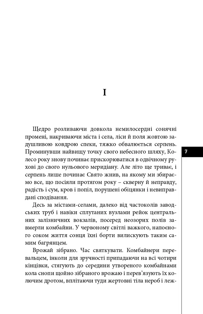 Палаюче око літа (Жнива мрій) - Олексій Жупанський - фото 5