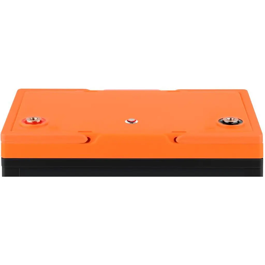 Акумулятор LogicPower LiFePO4 12V 12.8V/64Ah/820Wh [30664] [117138] - фото 3