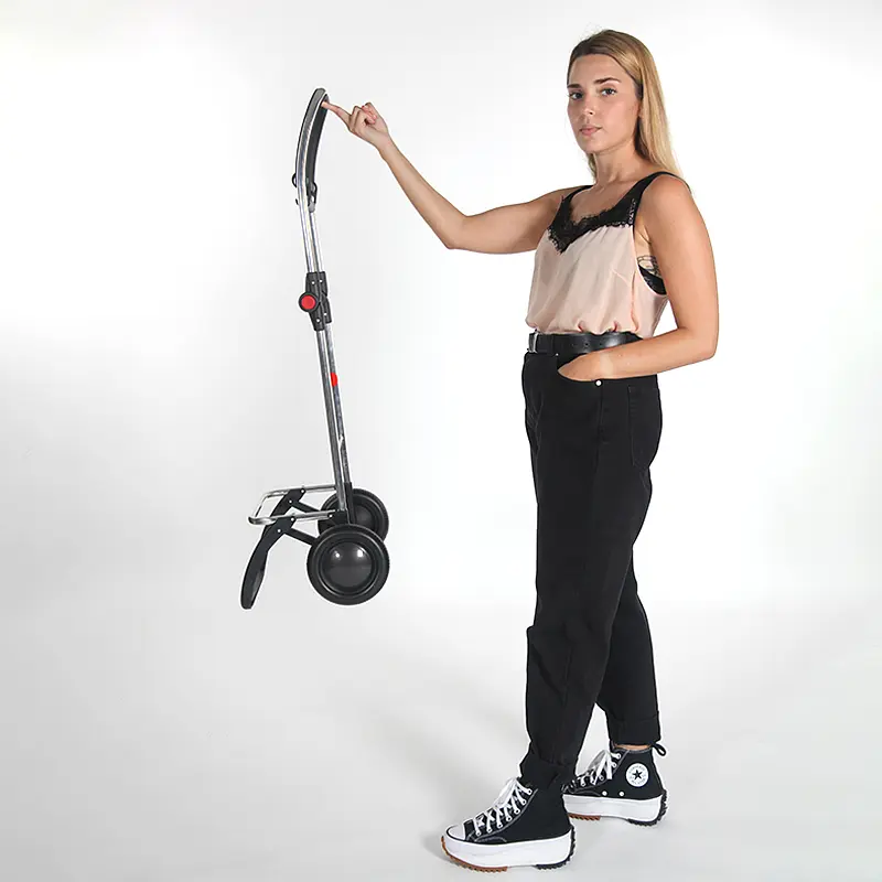 Сумка-візок Rolser I-Max Thermo Zen 2L Marengo (IMX352-1031) - фото 11