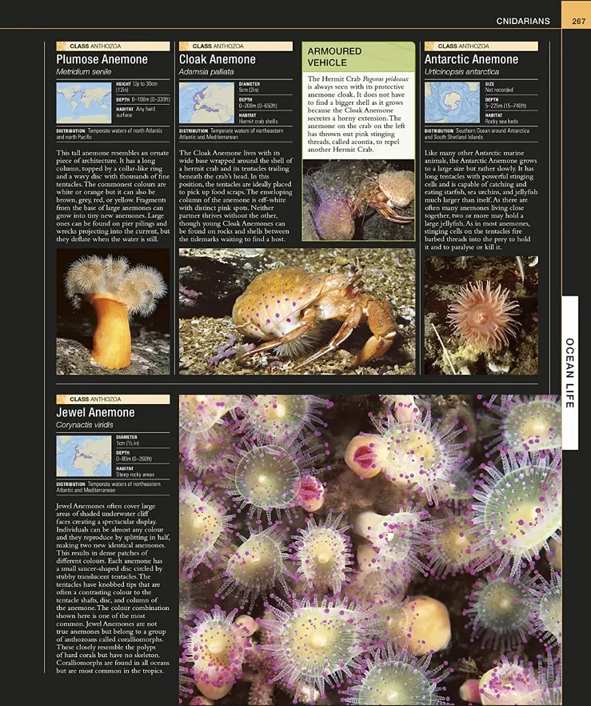 Ocean. The Definitive Visual Guide - фото 3