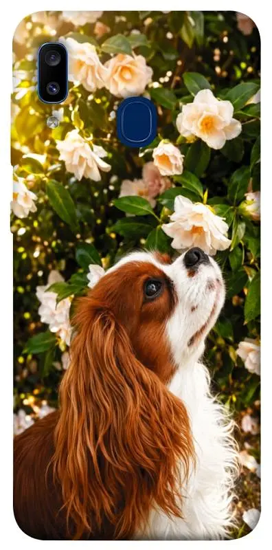 TPU чохол Demsky Flower spaniel для Samsung Galaxy A20 / A30