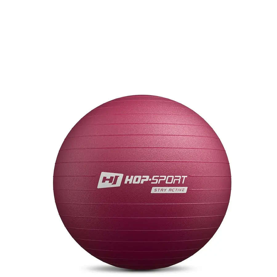 Фітбол Hop-Sport 45см HS-R045YB сливовий + насос - фото 2