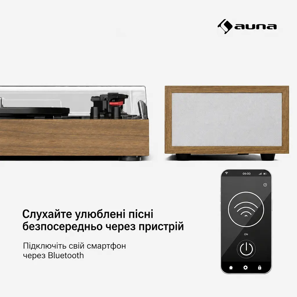 Програвач вінілу TT-Play 2x10W BT RCA-Out (10045082) - фото 2