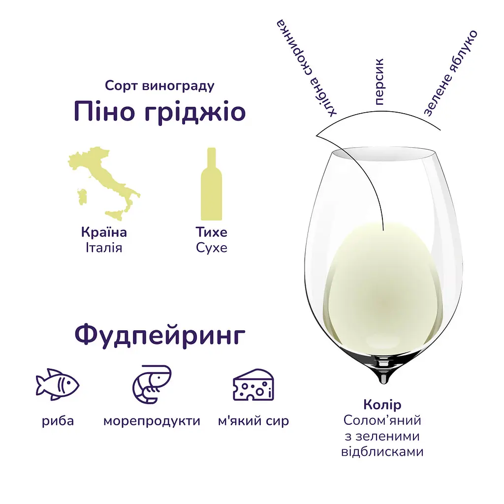 Вино I Castelli Pinot Grigio, белое, сухое, 12%, 0,75 л (522655) - фото 3