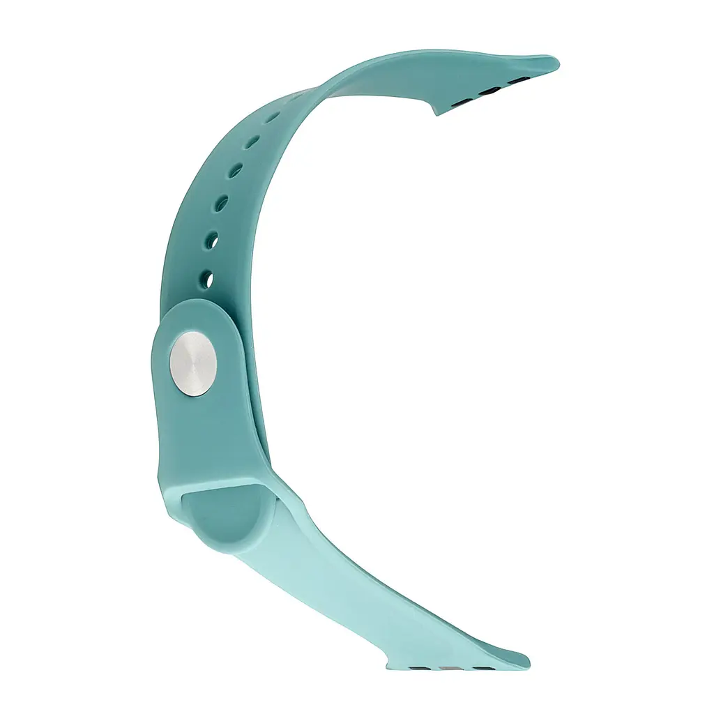 Ремінець Apple Watch Silicone 38/40/41 мм Сactus L - фото 2
