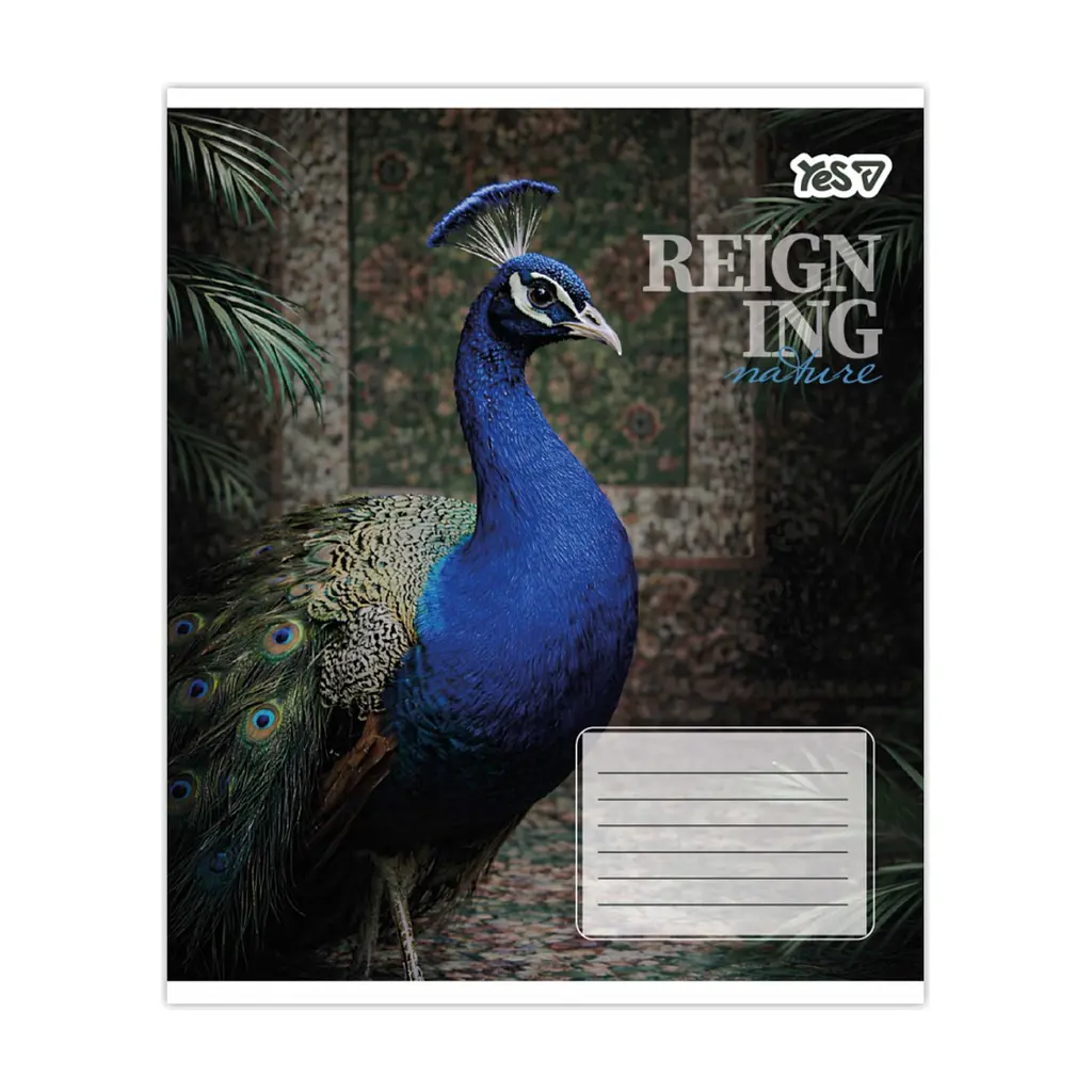 Зошит Yes Reign ing А5 48 аркушів клітинка (769096), в асортименті - фото 6