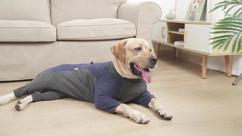 Флісовий комбінезон для собак Wan Talk Dog Clothes Cold Proof, Bluish Grey, L - фото 4