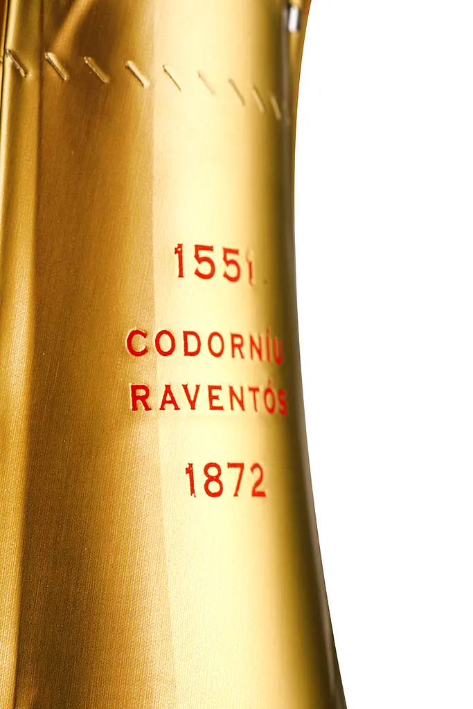 Вино ігристе Codorniu Cava Clasico Brut, біле, брют, 0,75 л - фото 2