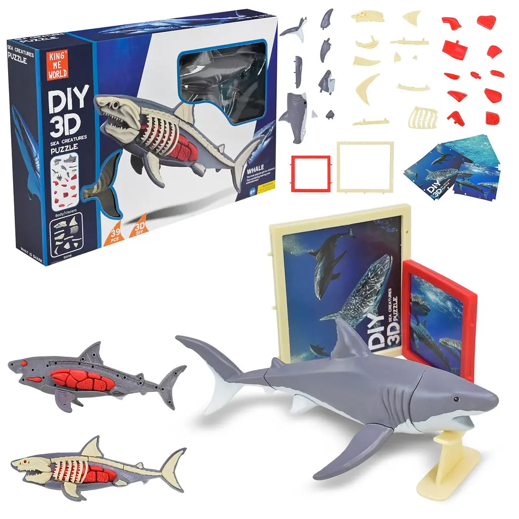 Збірна 3D-модель анатомії акули DIY 3D Sea Creatures Puzzle (310B-16)