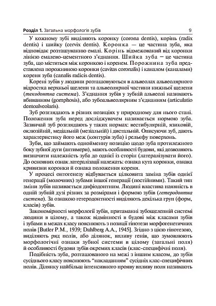 Основи клінічної морфології зубів - Рудольф Самусев - фото 10
