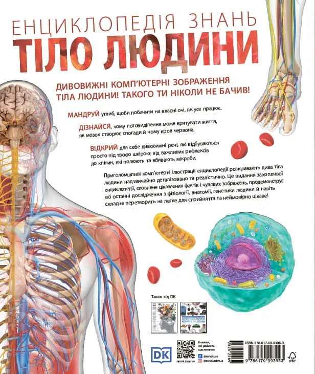 Енциклопедія знань. Тіло людини - Стів Хоффман - фото 2