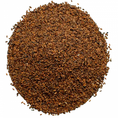 Насіння Фацелії 0.5 кг - фото 2