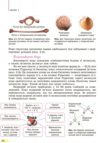 Біологія. Підручник. 9 клас - Костянтин Задорожний - фото 9