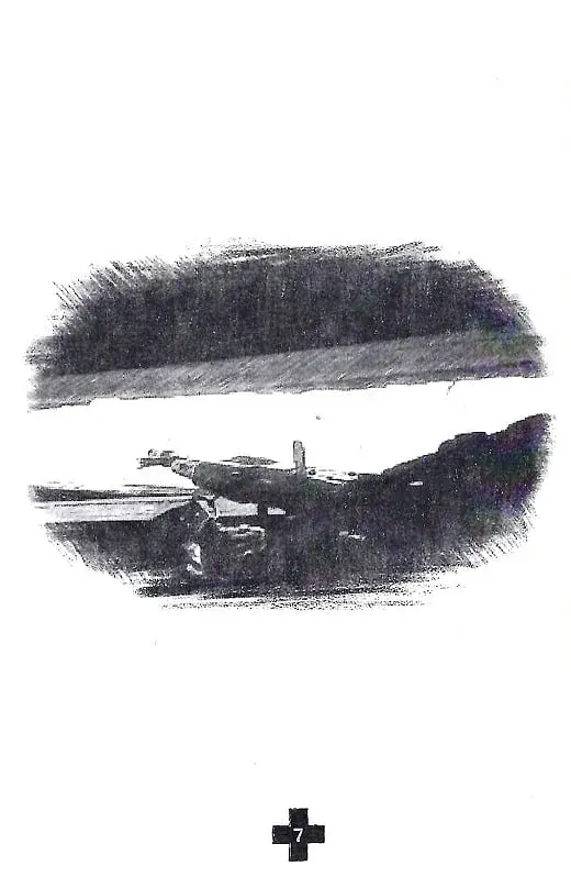 Три плюси - фото 8