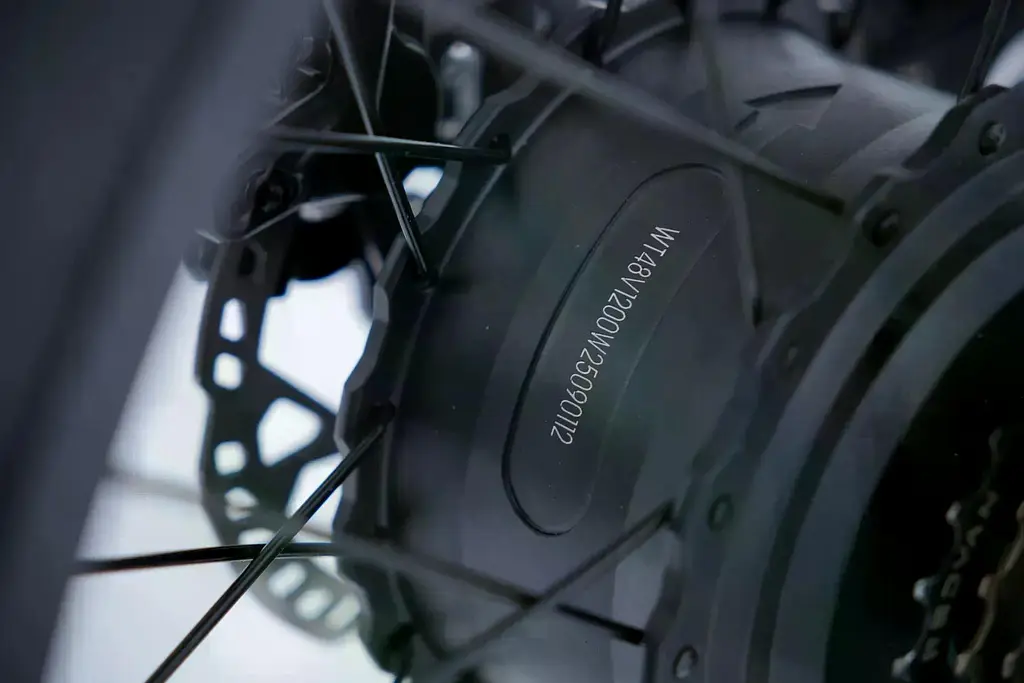 Електрофетбайк Corso DEX-73 20" DX-22530 (1200W 48V 23Ah) Чорний - фото 11