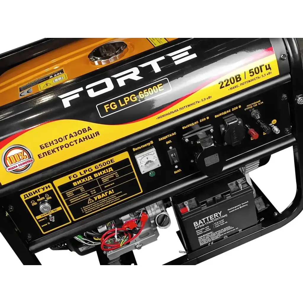 Генератор двухтопливный Forte FG LPG-6500E - фото 7