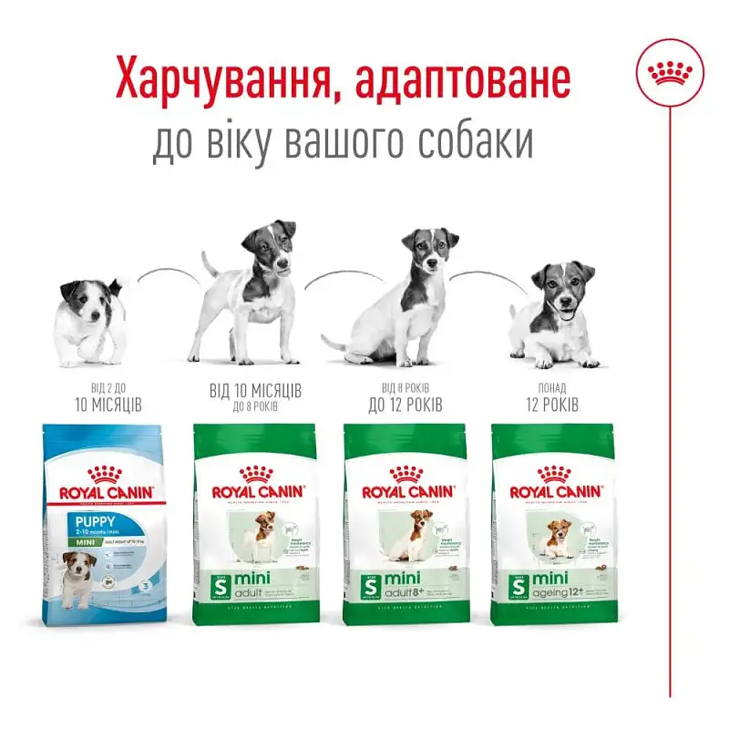 Сухой корм для взрослых собак Royal Canin Mini Adult с мясом птицы 8 кг - фото 5