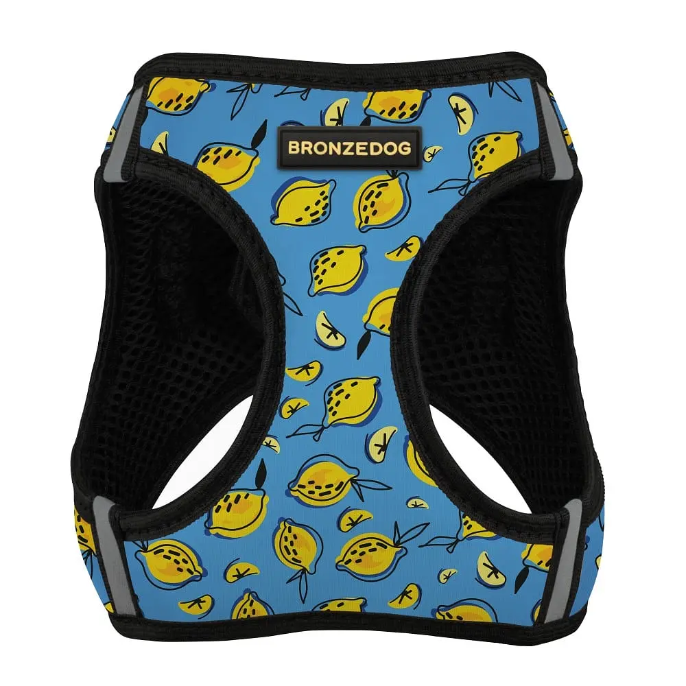 Шлея для собак Bronzedog Sport Vest Лимони M 24х18х3 см блакитна - фото 2