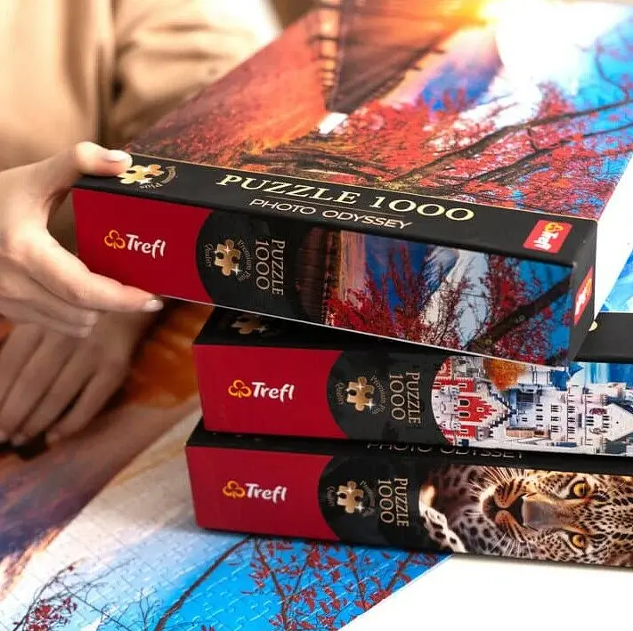 Пазл Photo Odyssey: Башня Честа, Сан-Марино - 1000 элементов Trefl 10822 - фото 4