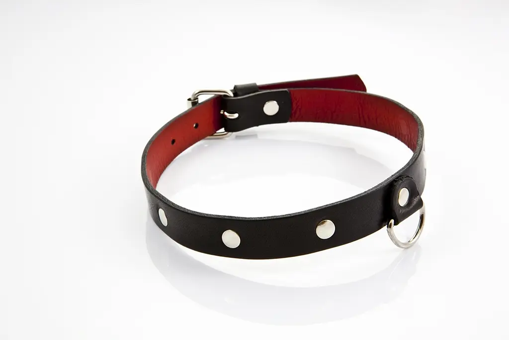 Нашийник - Whips Collection Collar For Her - фото 4