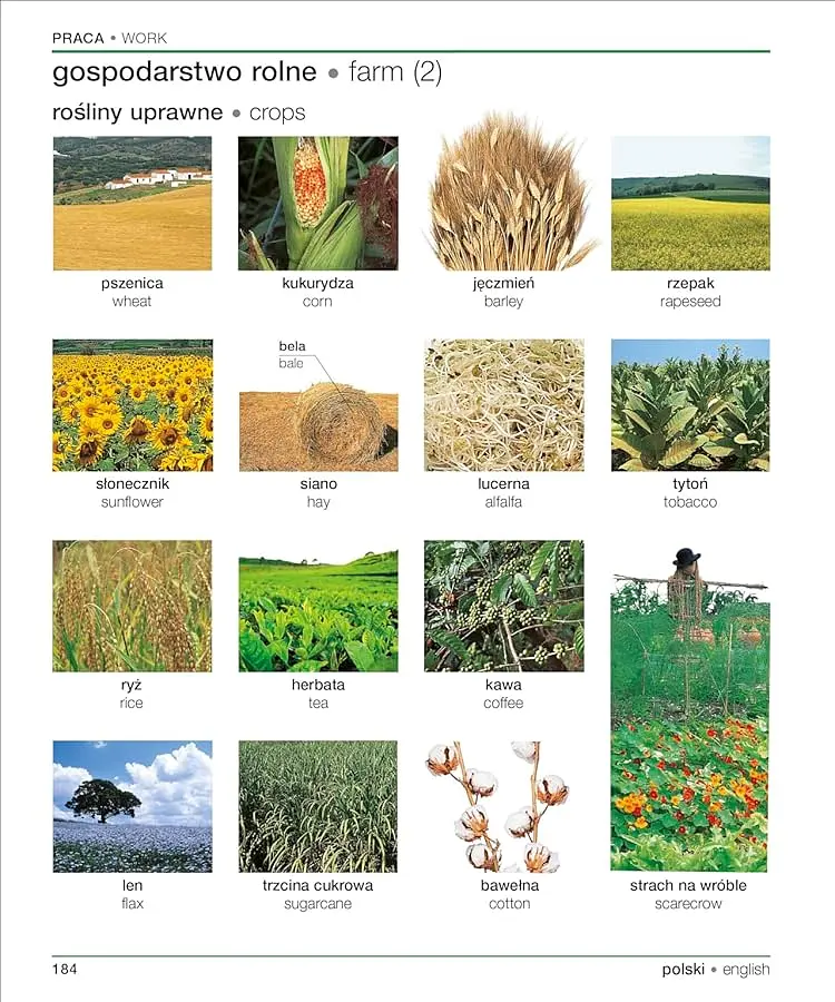 Polish English Bilingual Visual Dictionary - фото 8