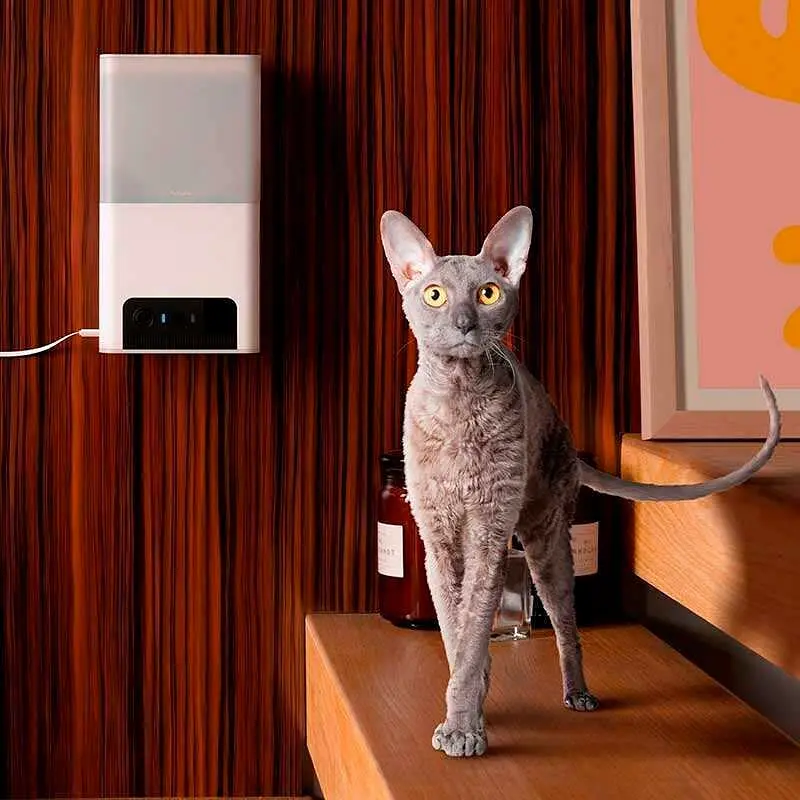 Інтерактивна камера відеоспостереження з диспенсером для корму Petcube Bites 2 Lite (BL10US) [87148] - фото 7