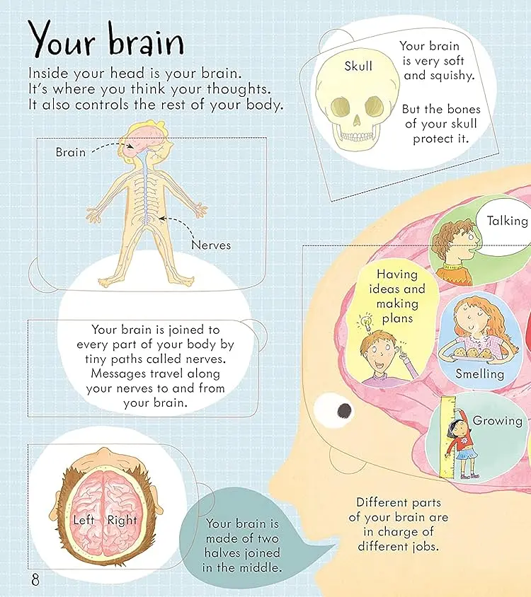 Look Inside Your Body - фото 2