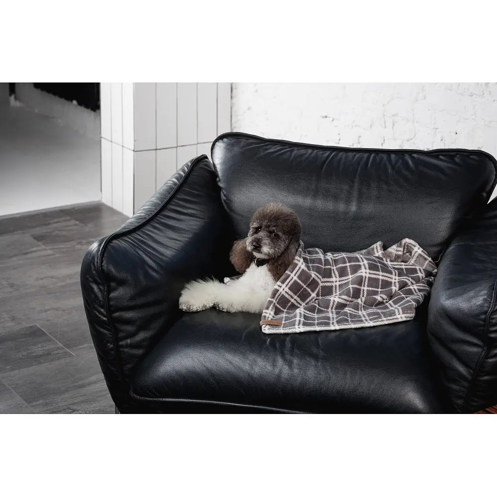 Плед Pet Fashion Bliss 2 для собак і котів плюш сірий картатий 70,5х94 см - фото 7