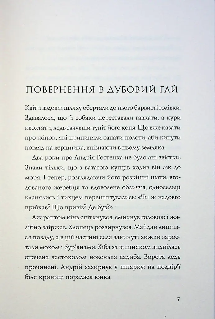 Книга Жорж Витязь та Вірлиця / Наталія Довгопол українською kni0004609 - фото 3