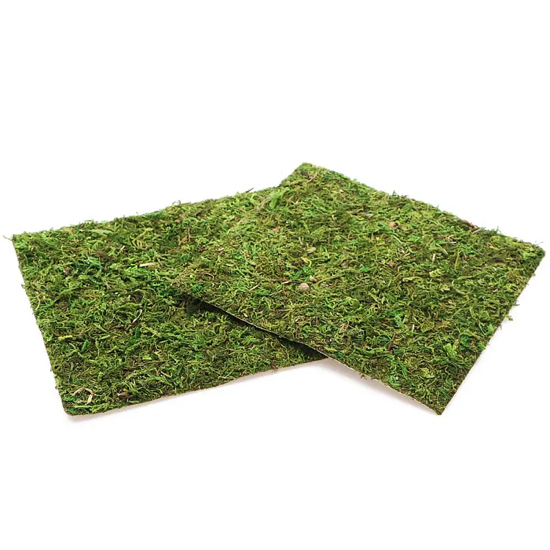 Фон з натурального моху Repti-Zoo Natural Moss Back & Bottom 20x20см 2 шт (NCM2020) для тераріуму - фото 6
