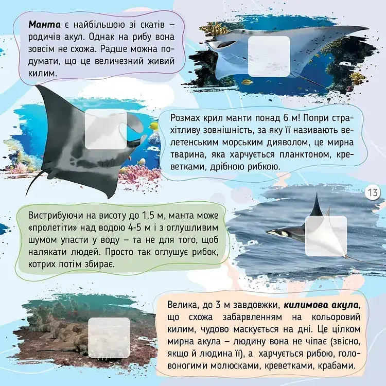 100 цікавинок. Моря, океани та їхні мешканці - Катерина Шаповалова - фото 7