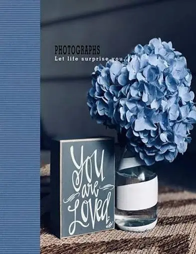 Фотоальбом UFO 10x15x200 PP-46200 Hydrangea
