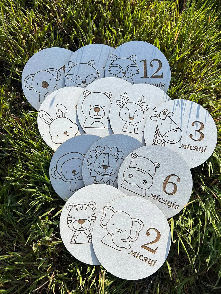 Набір дерев'яних круглих табличок для щомісячної фотосесії малюка, картки з двп 12 шт. - фото 2