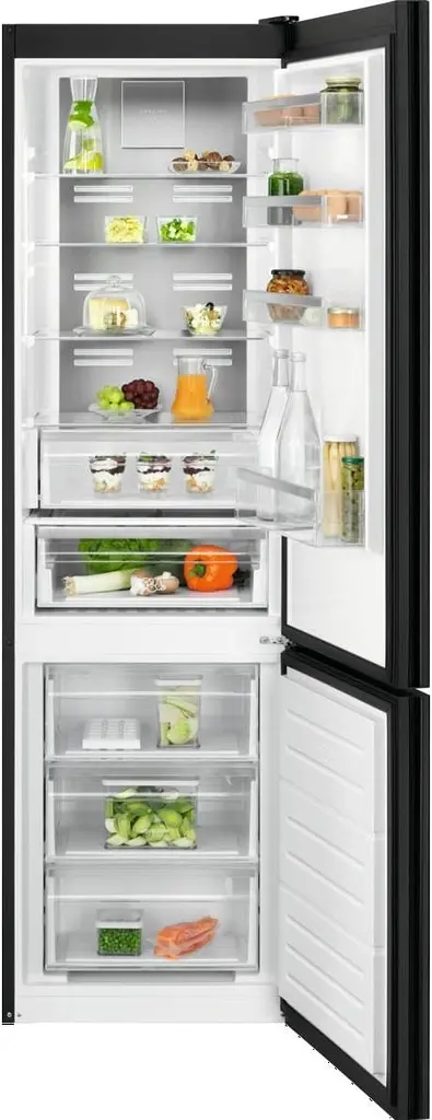 Холодильник Electrolux RNT7ME34K1 - фото 2