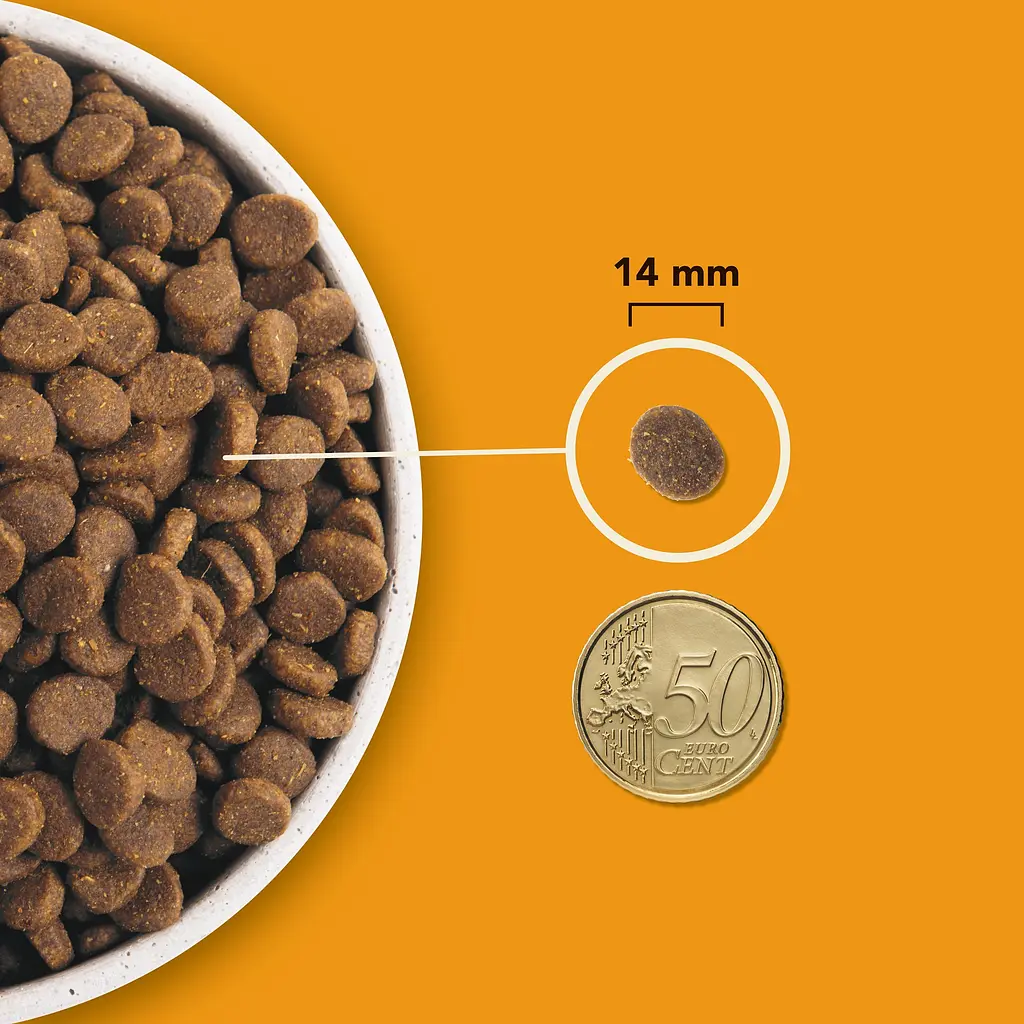 Сухий корм для собак усіх порід Acana Wild Prairie Dog Recipe з куркою та індичкою 2 кг a54021 - фото 2