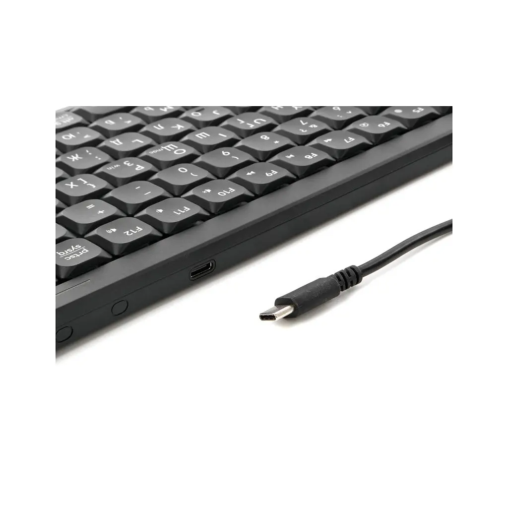 Клавіатура A4Tech FX53 USB UA Black (4711421002394) - фото 6