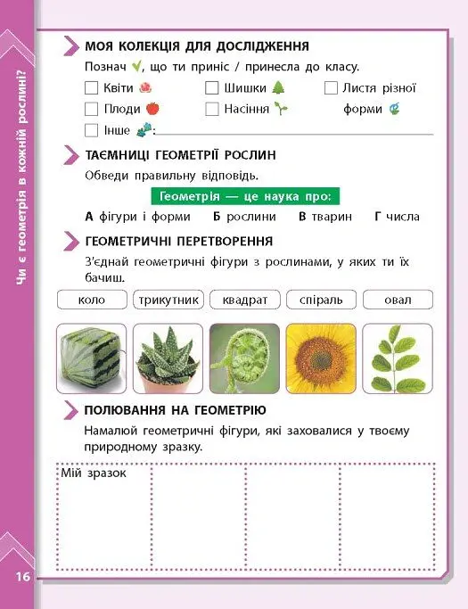 STEM-Старт. Наука про Землю і космос. Земля. Космос. Геометрія. Зошит проєктів. 1-4 класи - Ірина Потапенко - фото 5