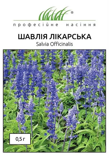 Насіння Шавлії Лікарської 0.5 г Професійне насіння