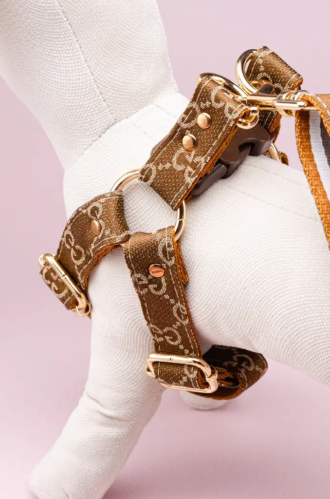 Комплект шлейка + повідець 1.5м в стилі Gucci S (коричневий)